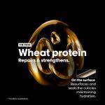 L'Oréal Professionnel Absolut Repair Shampoo With Protein And Gold Quinoa2